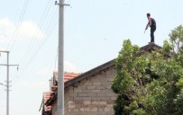 ÇATALHÖYÜK - Babası Darp Edilince Pompalı Tüfekle Çatıya Çıktı