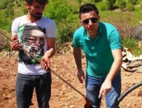 JEOLOJI - Bahçesinde su ararken petrol buldu