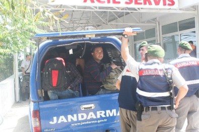 Koyda Mülteci Operasyonu