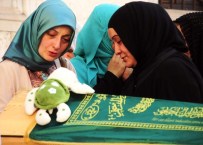 EMEL YILDIRIM - Oyuncak Kaplumbağası İle Son Yolculuğuna Uğurlandı