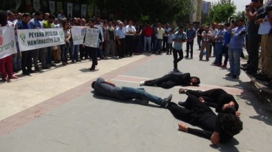 Batman'da Nükleer Santral Protestosu