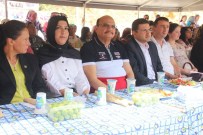 Gülnar'da Erik Festivali