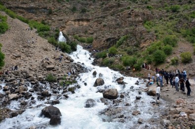 Kanisipi Ceviz, Bal, Alabalık Ve Doğa Festivali