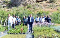 Kendi Çiçeğini Üreten Muratpaşa 1,5 Milyon Liralık Tasarruf Yaptı