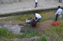 Köpekten Kaçarken Dereye Düşen Kadın Yaralandı