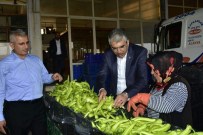 MHP'li Tarkan Akıllı Serik Hal'inde