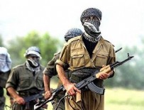 NİZAMETTİN TAŞ - PKK İran peşmergelerini ablukaya aldı