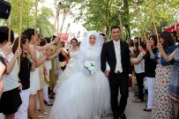 TOPLU NİKAH - Yalova'da Toplu Nikah Merasimi