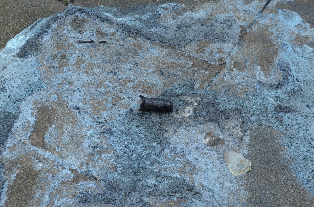 Almanya'da Türk aileye çirkin saldırı