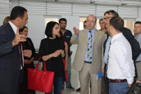 BIRLEŞMIŞ MILLETLER KALKıNMA PROGRAMı - BM Heyeti Organik Zeytinyağı Fabrikasına Hayran Kaldı