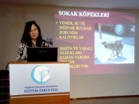 SOKAK KÖPEKLERİ - ESOGÜ'de 'Sokak Hayvanları Ve Biz' Konferansı