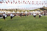 ALI DURSUN - Gaziantep'te İbrahim Şehir Aşırtmalı Aba Güreşi Şampiyonası Yapıldı