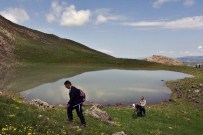 MANTAR TOPLAMA - Gümüşhaneli Dağcılar Göller Bölgesine Yürüdü