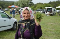 Şenlikte Buluştular