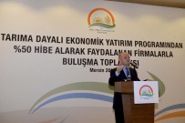 'Tarıma Dayalı Ekonomik Yatırım Programları