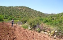 JEOLOJI - TP Görevlileri Petrol Bulunan Arazide İnceleme Yaptı