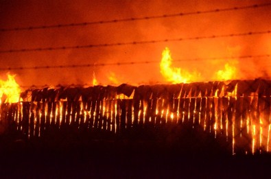 Eskişehir'de Büyük Yangın ! TOMA'lar Da Müdahale Ediyor