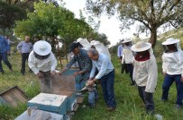 Manisa'da Arı Yetiştiriciliği Kursuna Yoğun İlgi