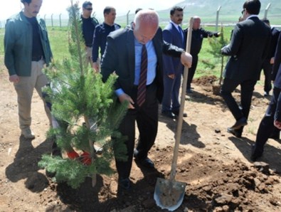 Şehit Savcı Kiraz İçin Bitlis'te Hatıra Ormanı Oluşturuldu