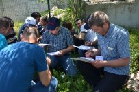 İŞ BIRAKMA EYLEMİ - Sendikadan İstifa Edip Kimlikleri Yere Attılar