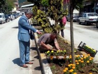 Yığılca Modern Hale Geliyor