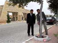 BAHAR ŞENLIKLERI - AGD'den Üniversitede Düzenlenen Bahar Şenliklerine Tepki