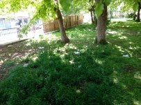 İSLAMIYET - Cami Bahçesindeki Çöplere Vatandaşlardan Tepki