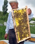 MUŞ OVASI - Gezgin Arıcılar Muş'a Gelmeye Başladı