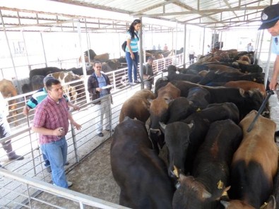 Afyonkarahisar'da Asayiş