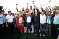 İSMAİL BALABAN - Balaban, Başpehlivan Oldu