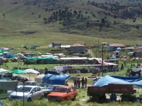 Beğişliler Ve Tatköylüler, '15. Geleneksel Piknik Ve Pilav Şenliği'nde Buluşacak