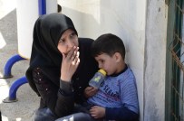 Bodrum'da Kaçak Operasyonu