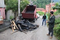 Saldırıya Uğrayan Gazeteciden Saldırganlara İlginç Ceza