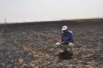 BAL ARISI - Şanlıurfa'da 200 Arı Yangında Telef Oldu