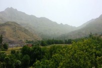 KAN DAVASı - 18 Yıllık Kan Davası Hortladı Açıklaması 1 Ölü, 1 Yaralı