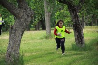 Çubuk'ta Oryantiring Turnuvası Düzenlendi