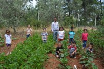 DOLMALIK BİBER - Minikler, Okul Bahçesinde Meyve Ve Sebze Yetiştirdi