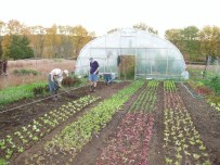 Ordu'da Organik Tarım Arttı