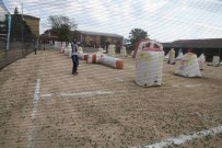 PAİNTBALL - Paintball Heyecanı Sekasem'de Başlıyor