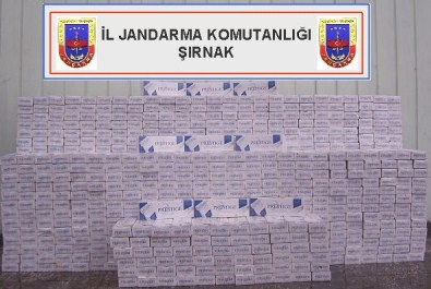 Şırnak'ta 17 Bin 774 Paket Kaçak Sigara Ele Geçirildi