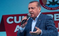 'Tavuk Musunuz Da Sandığın Üzerine Tüneyeceksiniz ?'