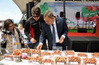 Uluslararası Karadeniz Ereğli Osmanlı Çileği Kültür Ve Sanat Şenlikleri