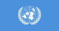 VALERİE AMOS - BM Açıklaması 'Nepal Gümrük Kontrollerini Genişletmeli'