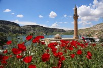 SAKLI CENNET - 'Sakin Şehir'de Hareketlilik Yaşanıyor