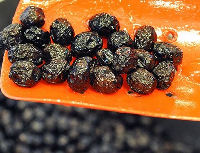 Sofralık zeytine prim geliyor