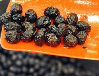 RECAİ BERBER - Sofralık zeytine prim geliyor