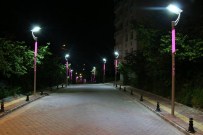 Güce'de Cadde Ve Sokaklar Işıklandırıldı