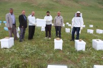 ORGANİK BAL - Hakkari'de Arıcılığı Geliştirme Projesi