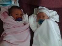 TANDOĞAN - Tandoğan Çiftçinin İkiz Bebek Sevinci