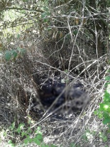 25 Kuruş İçin Arkadaşını Boğarak Öldürdü 3 Gün Sonra Yaktı